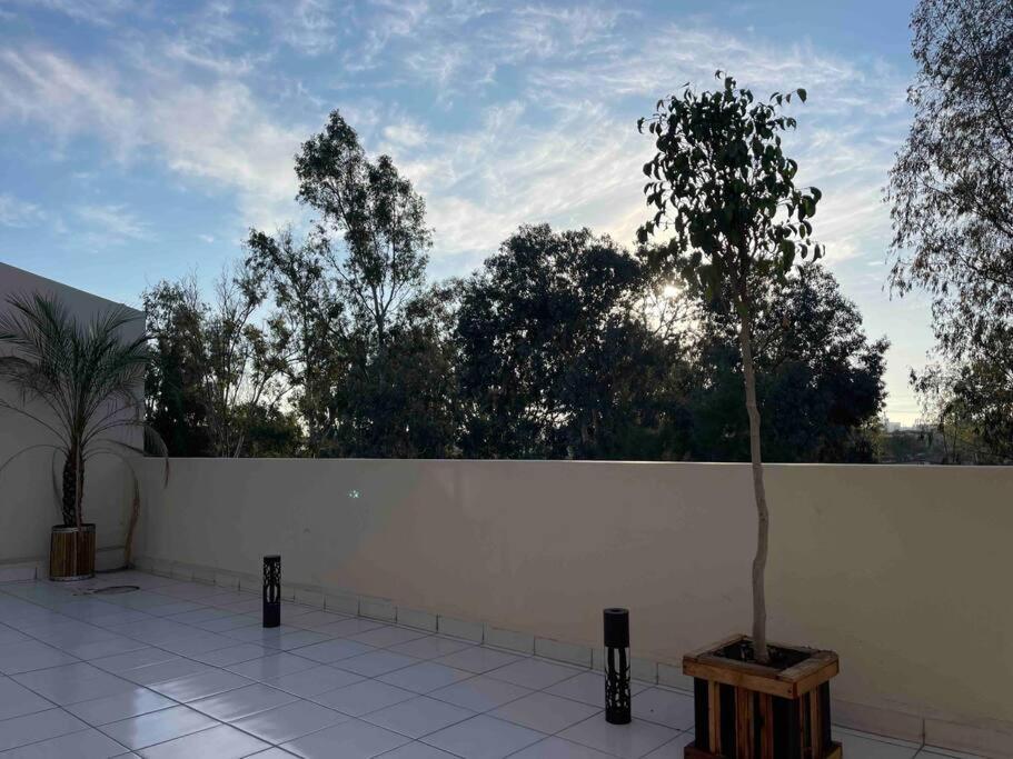 Otay Studio Great Patio Near Otay Crossing & Airport Tijuana Exteriör bild